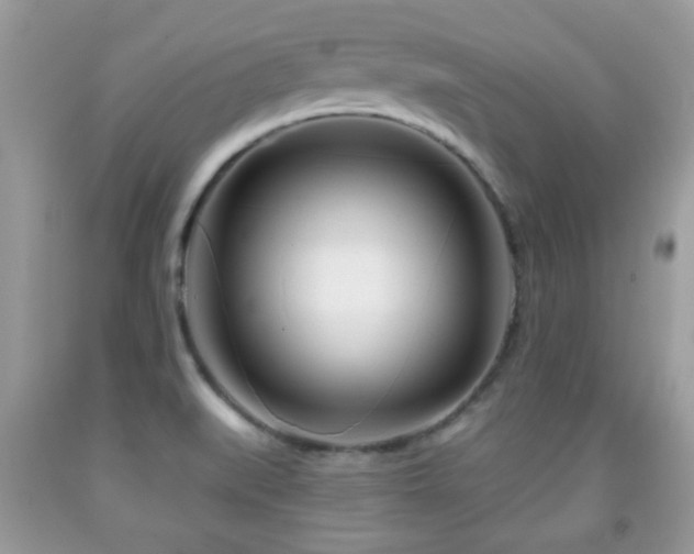 X0000091991519200709061408