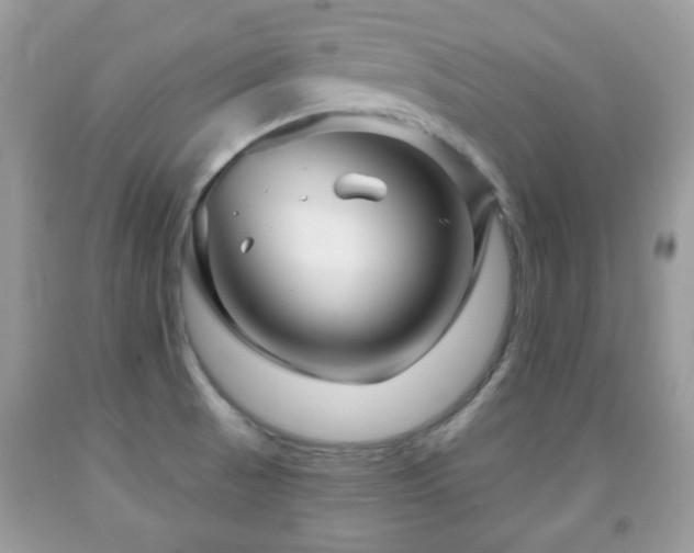 X0000091991521200709061408