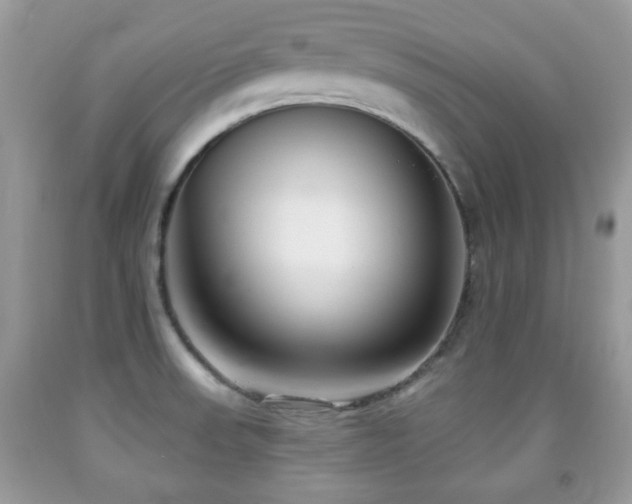 X0000091991523200709061408