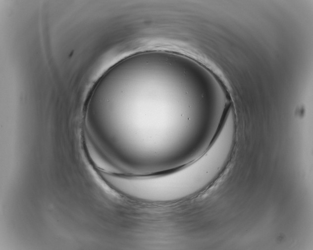 X0000091991525200709061408
