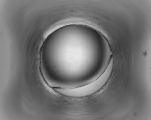 X0000091991526200709061408