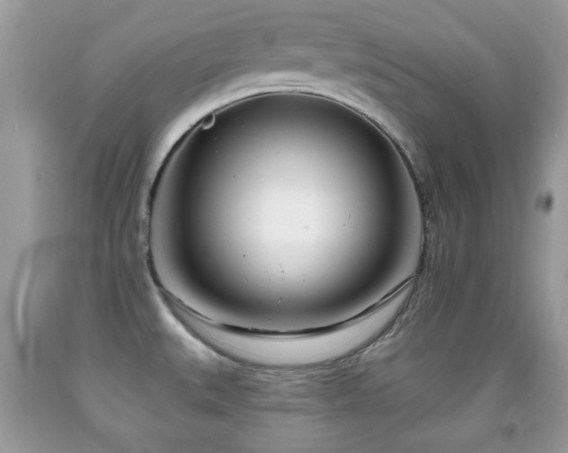 X0000091991527200709061408
