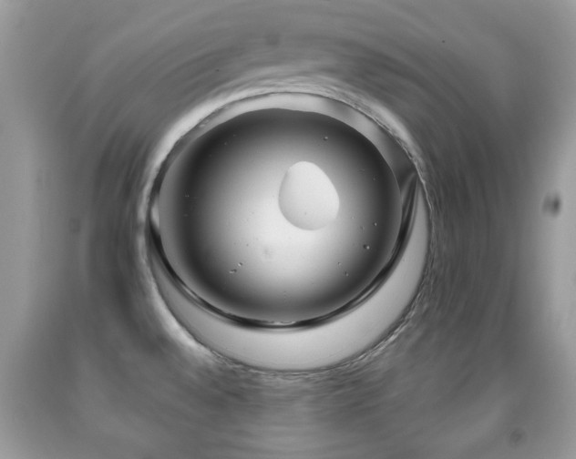 X0000091991528200709061408