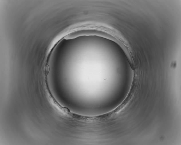 X0000091991530200709061408