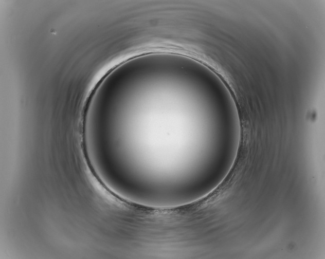 X0000091991531200709061408