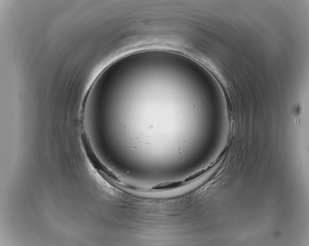 X0000091991532200709061408