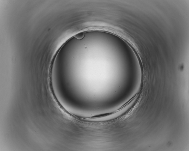 X0000091991533200709061408