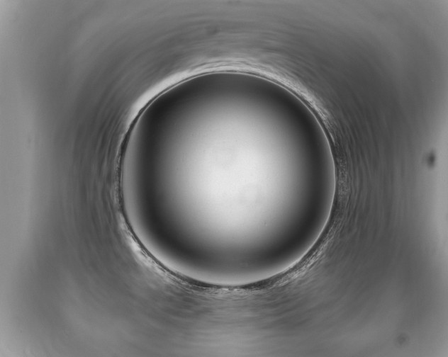 X0000091991534200709061408