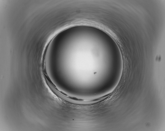 X0000091991536200709061408