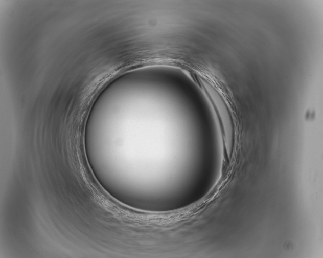X0000091990001200709131504