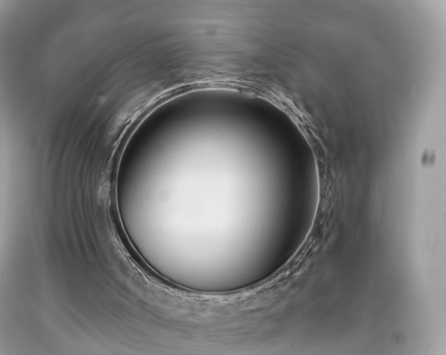 X0000091990002200709131504