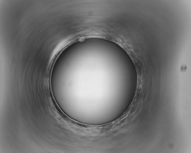 X0000091990004200709131504