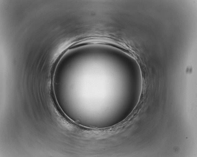X0000091990005200709131504