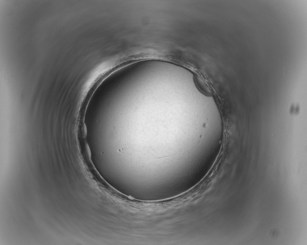 X0000091990006200709131504