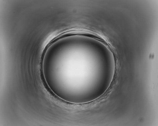 X0000091990007200709131504