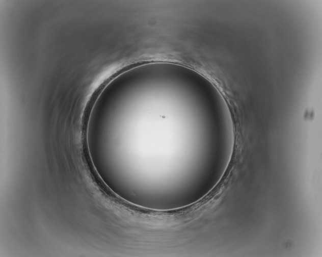 X0000091990008200709131504