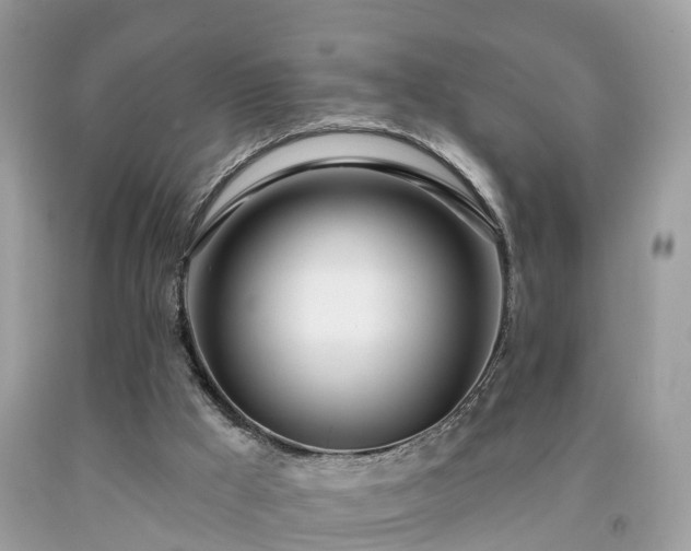 X0000091990009200709131504