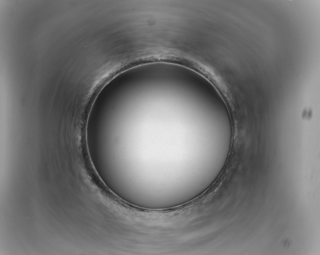 X0000091990010200709131504