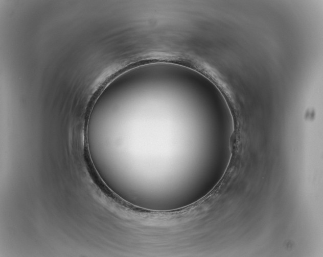 X0000091990011200709131504