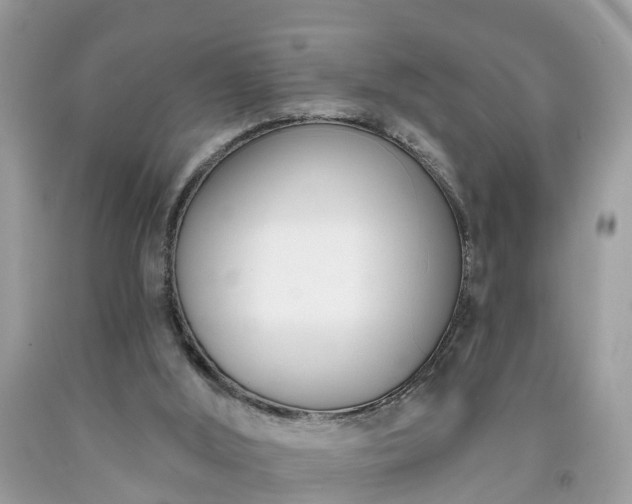 X0000091990012200709131504