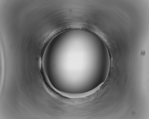 X0000091990013200709131504