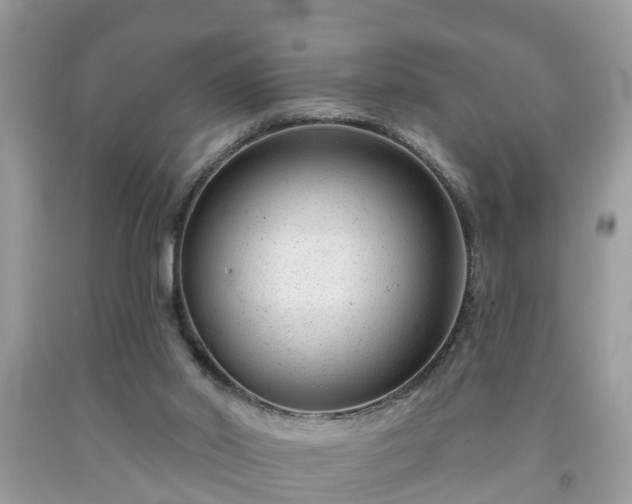 X0000091990014200709131504