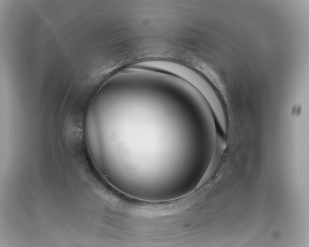 X0000091990017200709131504