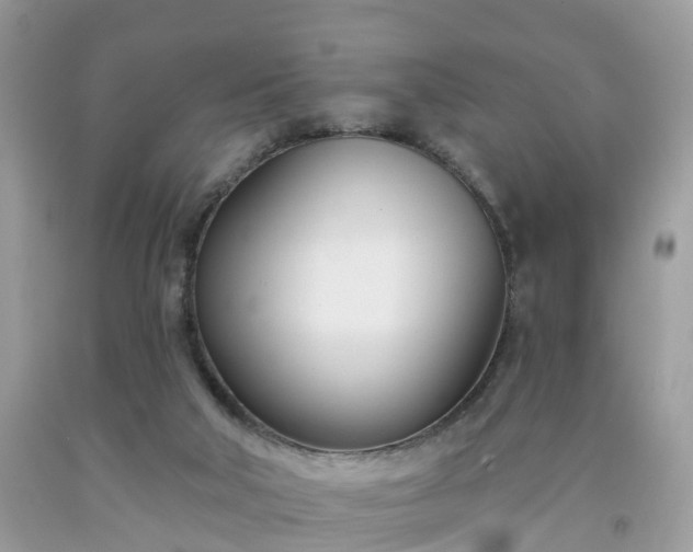 X0000091990018200709131503