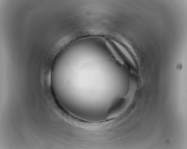 X0000091990019200709131503