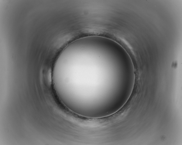 X0000091990020200709131503