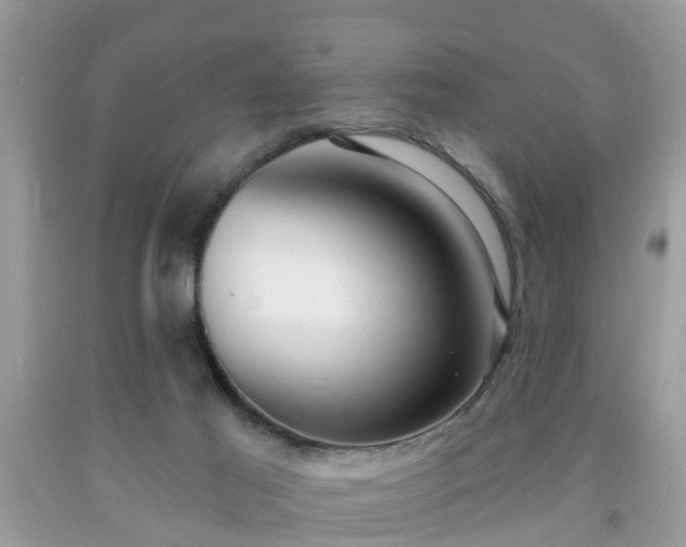 X0000091990021200709131503