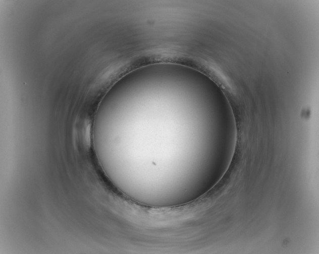 X0000091990022200709131503