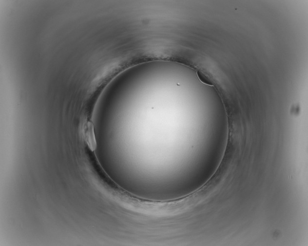 X0000091990023200709131503