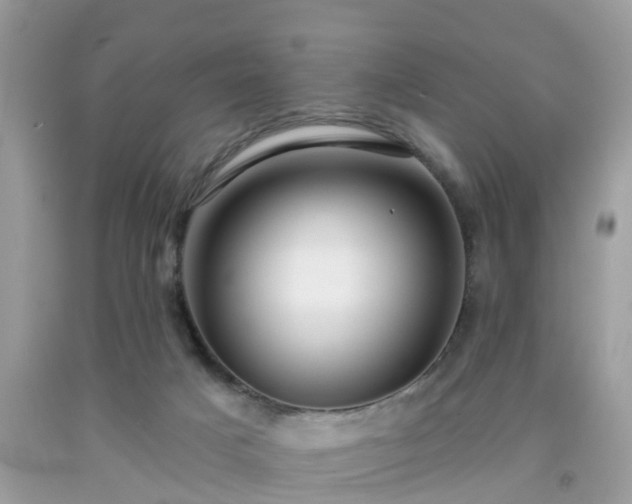 X0000091990025200709131503