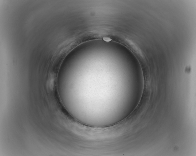 X0000091990026200709131503