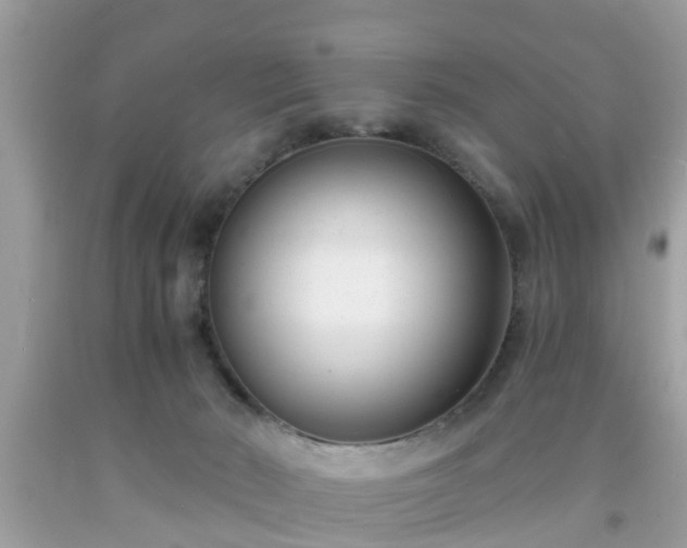 X0000091990030200709131503