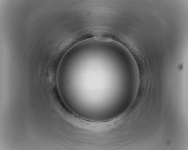 X0000091990031200709131503