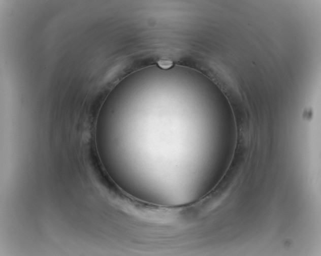 X0000091990032200709131503