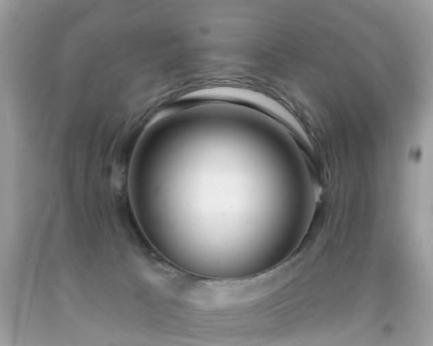 X0000091990033200709131503