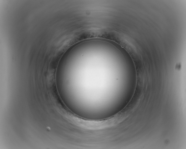 X0000091990034200709131503