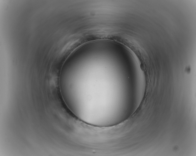 X0000091990035200709131503