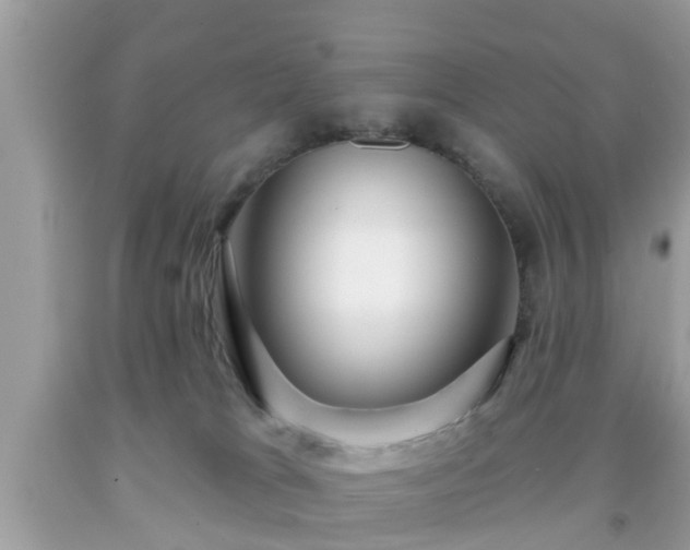 X0000091990037200709131503