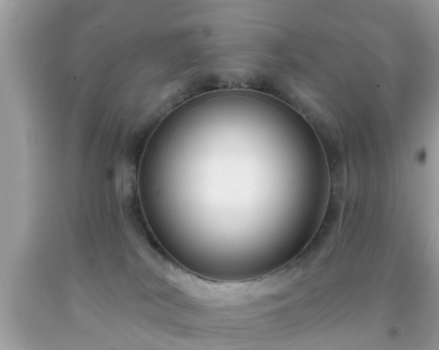 X0000091990038200709131503