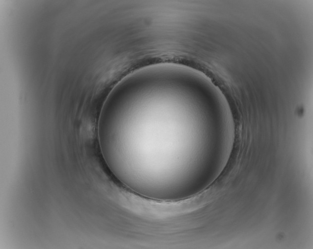 X0000091990039200709131503