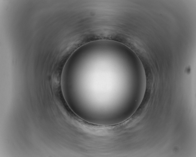 X0000091990040200709131503