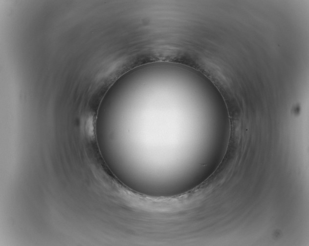 X0000091990042200709131503