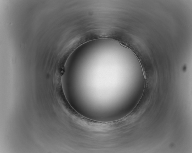X0000091990044200709131503