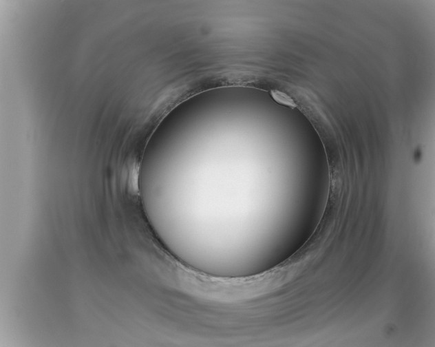 X0000091990046200709131503