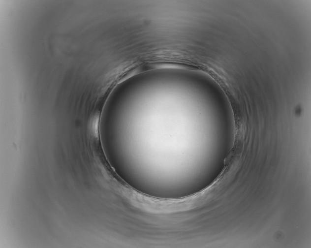 X0000091990047200709131503