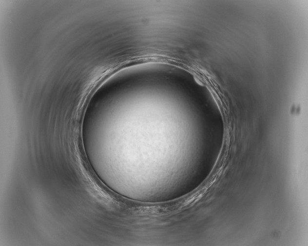 X0000091990049200709131502
